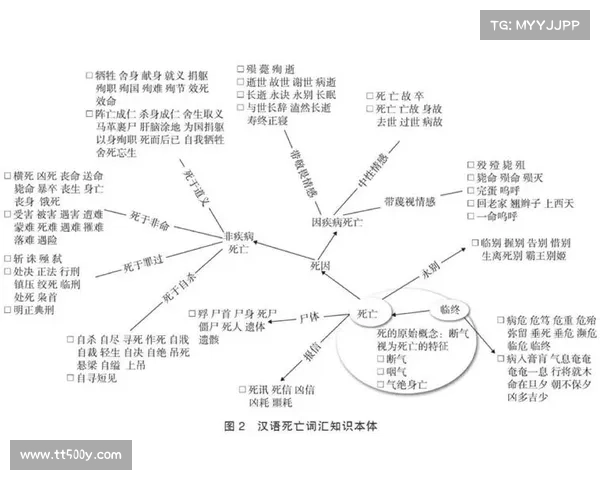 中四注的独特视角与学术价值探析及其在当代研究中的应用与发展 中四注的独特视角与学术价值探析及其在当代研究中的应用与发展